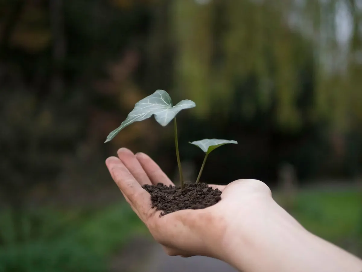 Growth Mindset Myths: 5 Beliefs That Keep You Stuck